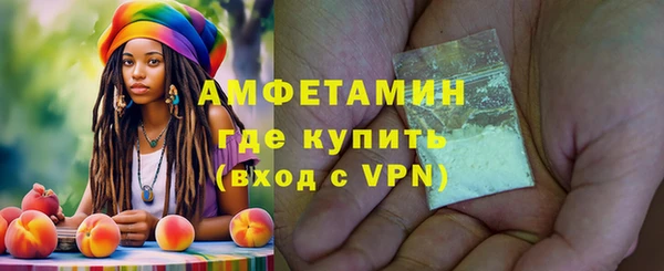 гидра Арсеньев