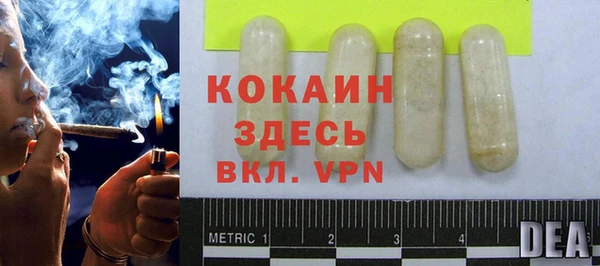 гидра Арсеньев