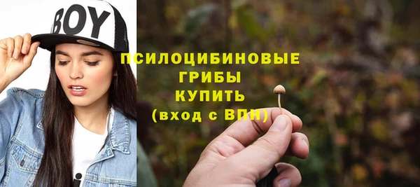 гидра Арсеньев