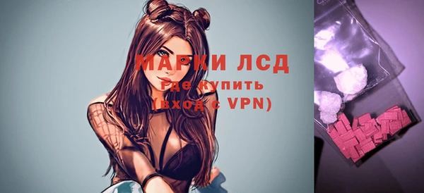 гидра Арсеньев