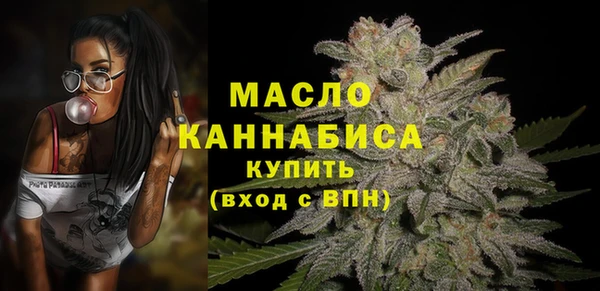 крисы Новодвинск