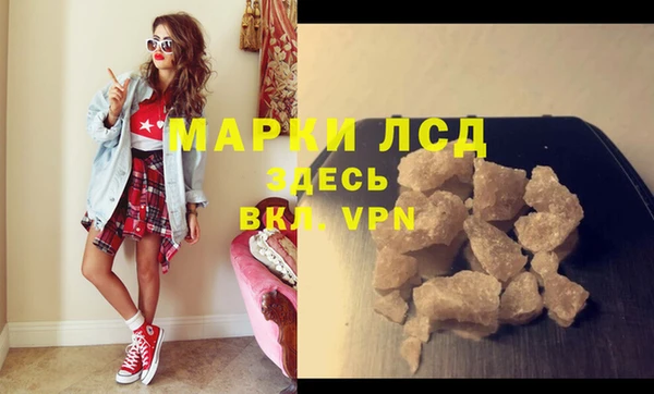 гидра Арсеньев