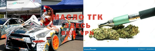 гидра Арсеньев
